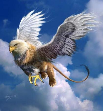 gryf.jpg